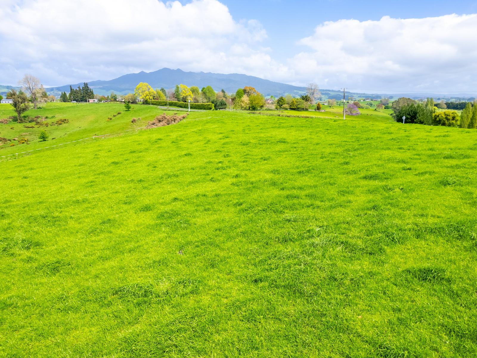 Lot 3 Bird Road, Pirongia