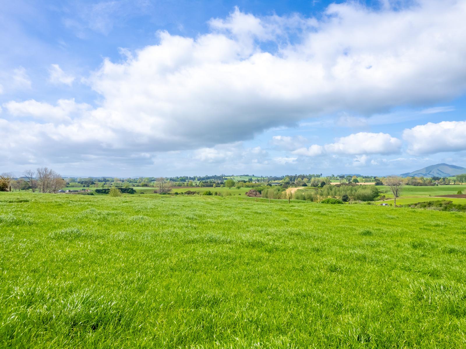 Lot 3 Bird Road, Pirongia