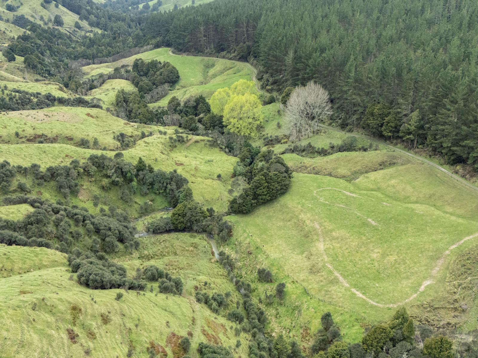 Owhango