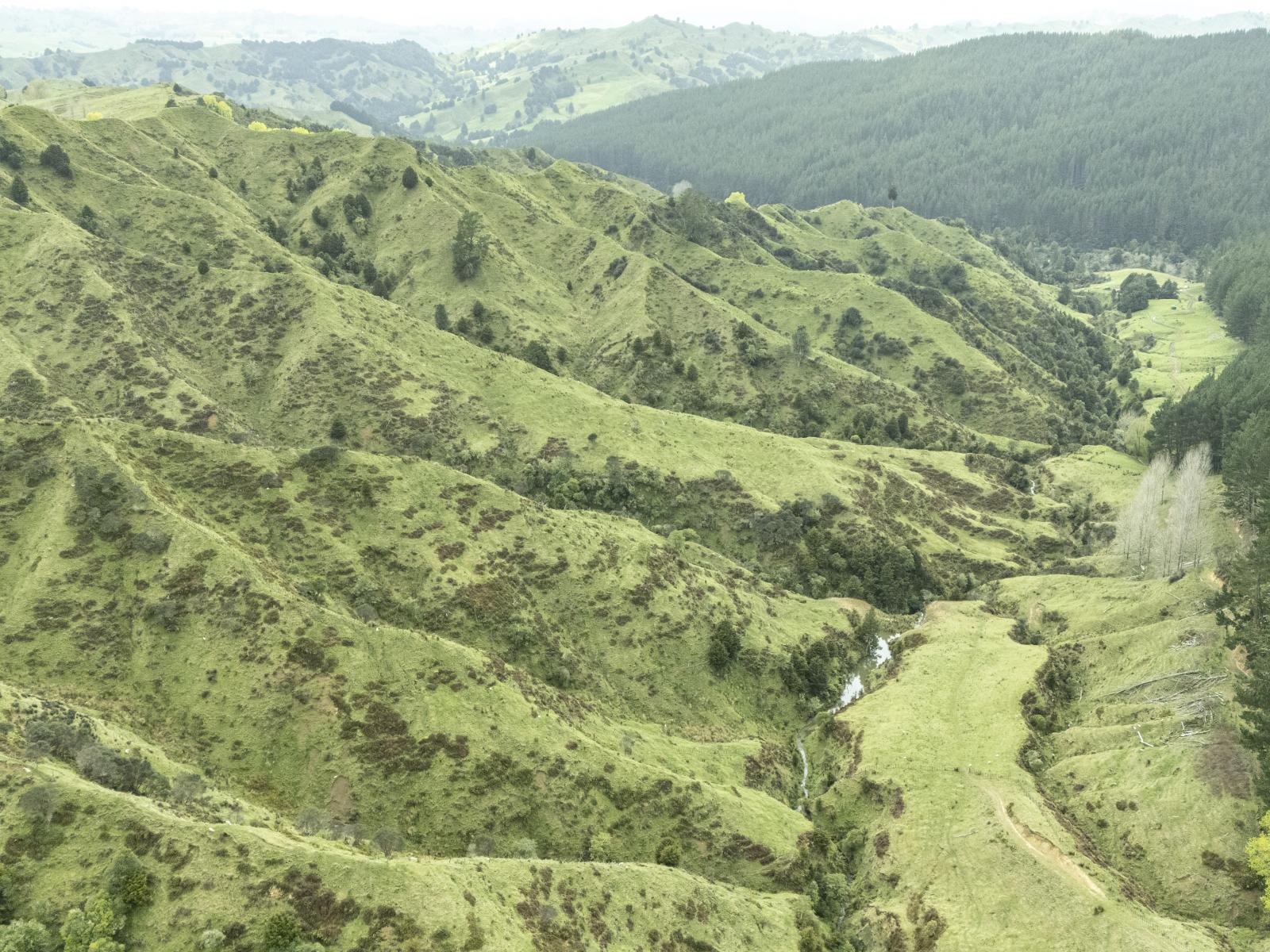 Owhango