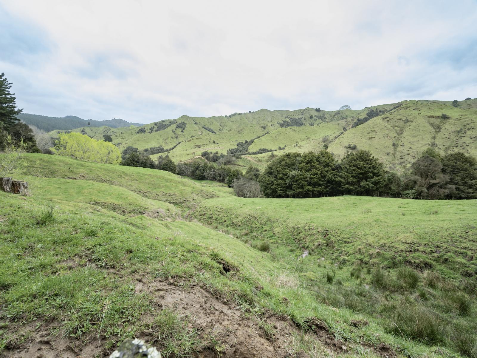 Owhango