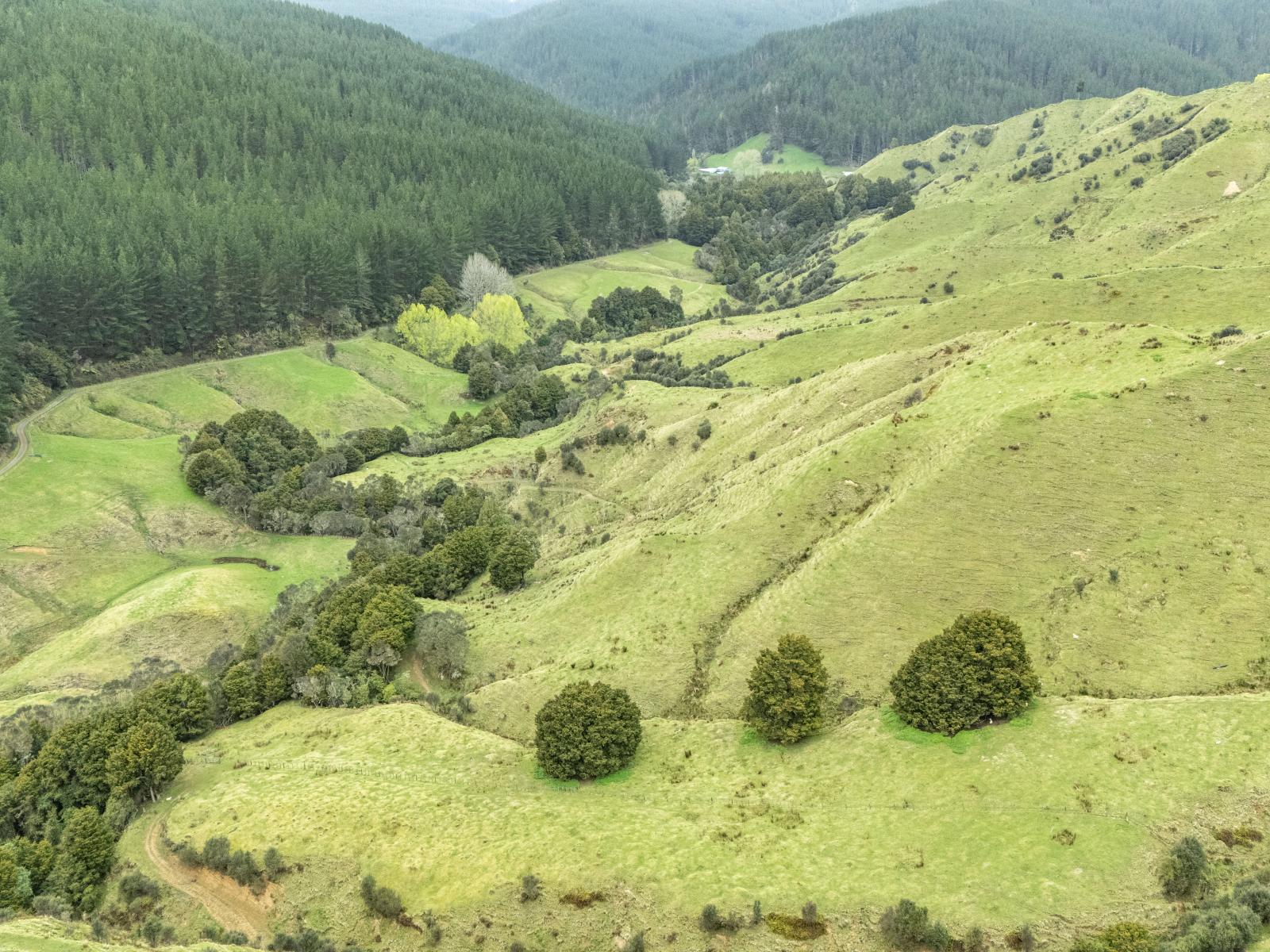 Owhango