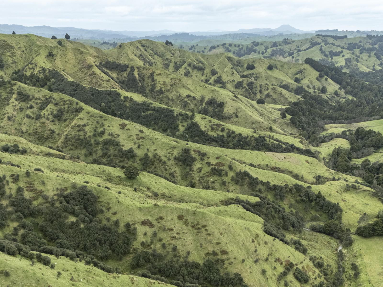 Owhango