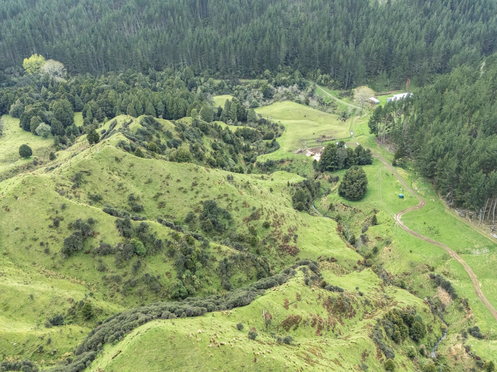 Owhango