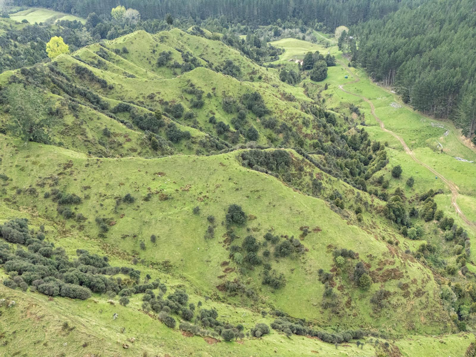 Owhango