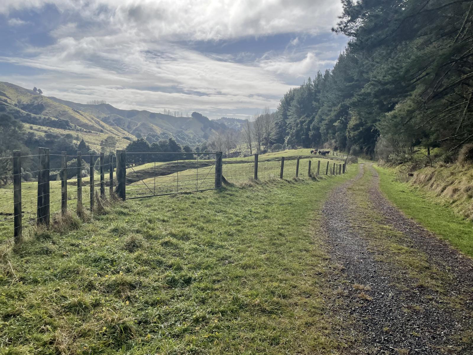 Owhango