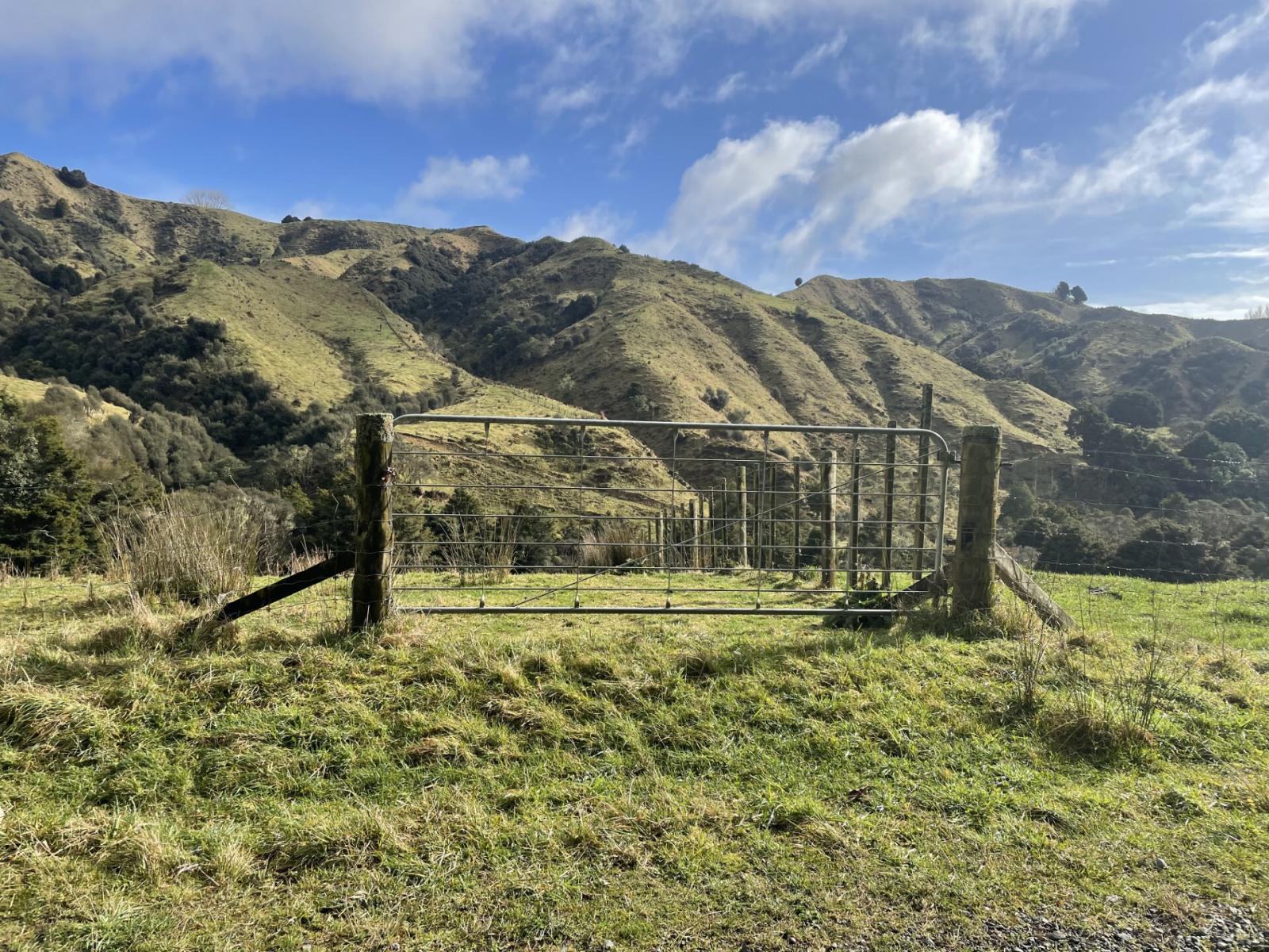 Owhango