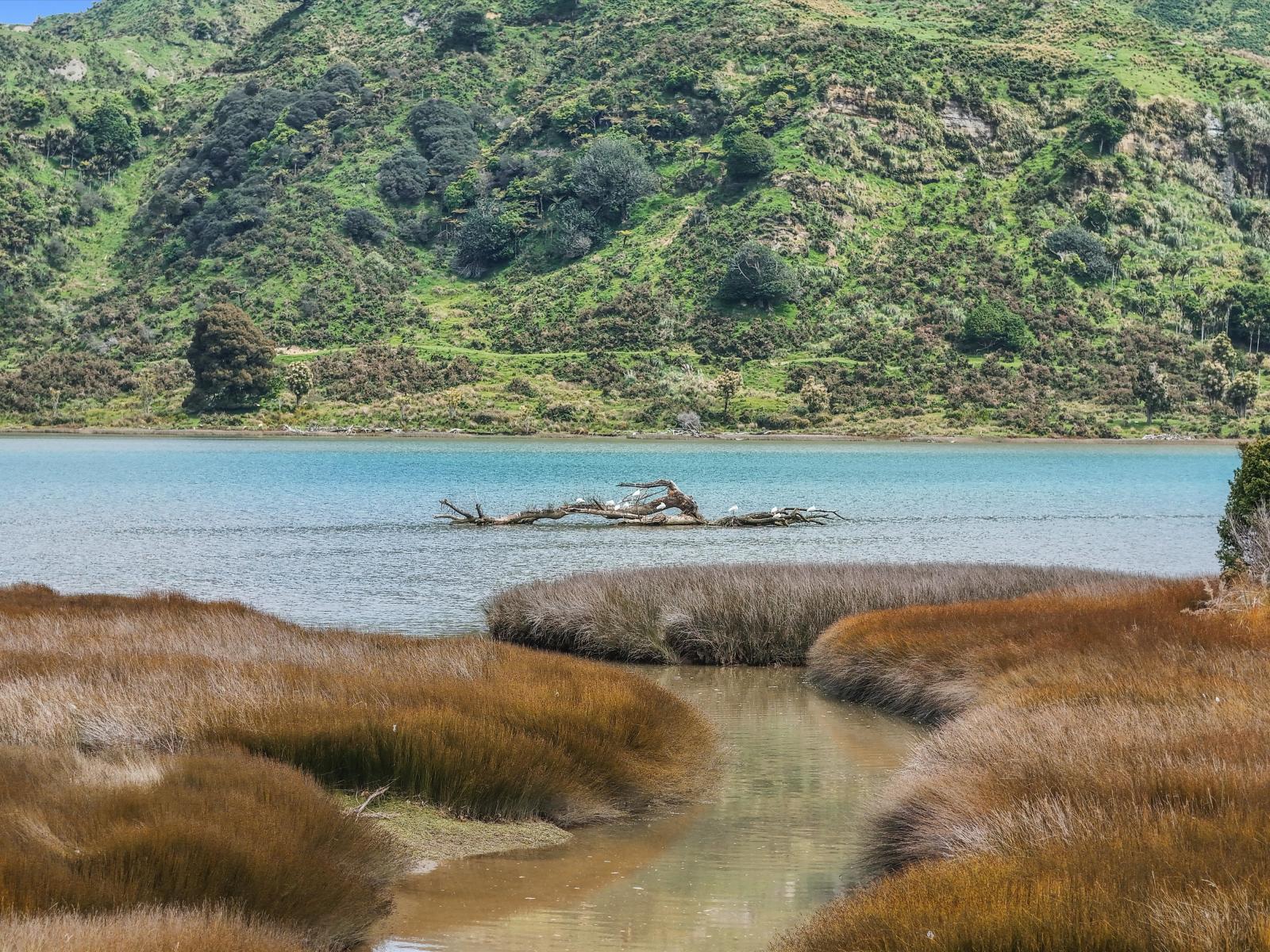 Te Mahoe Road, Mokau