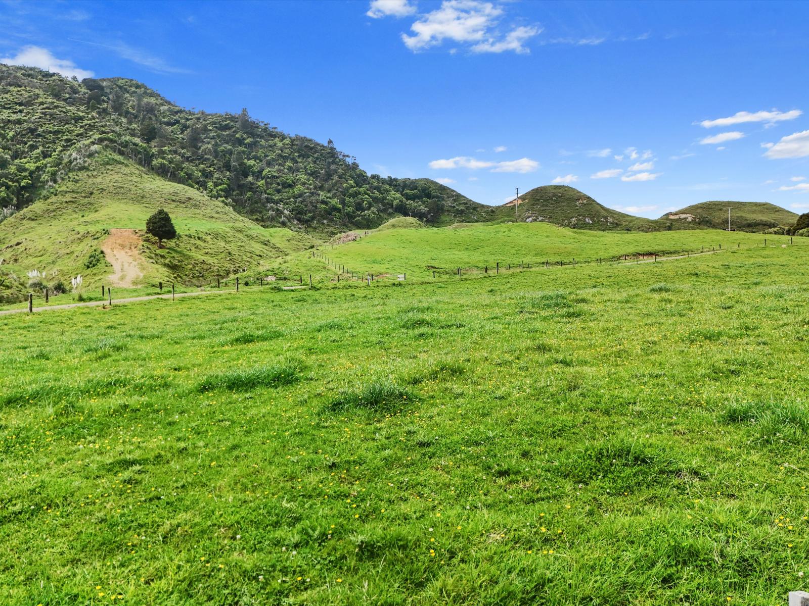 Te Mahoe Road, Mokau