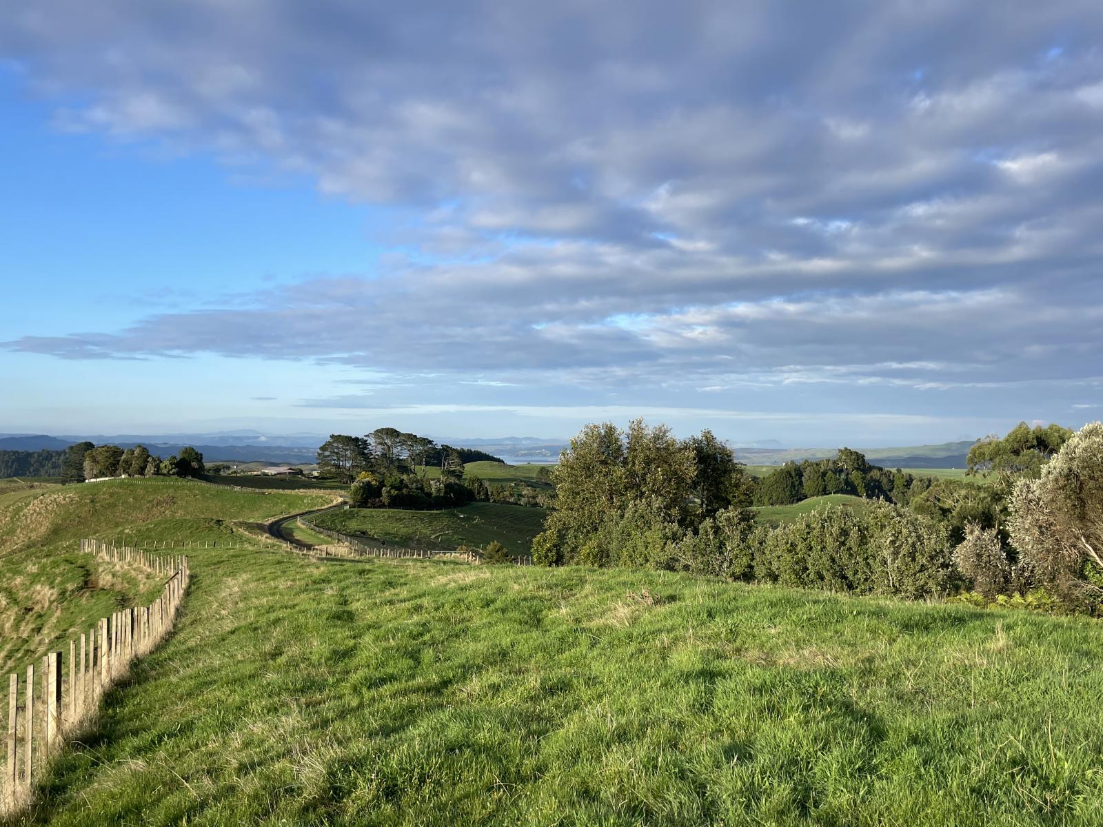 Raglan