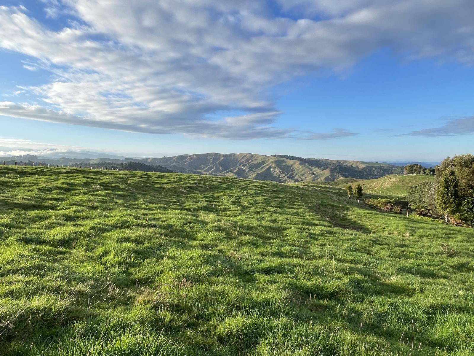 Raglan