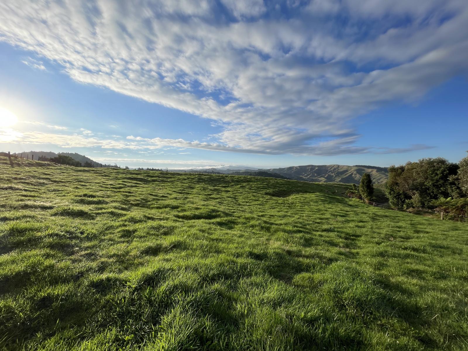Raglan