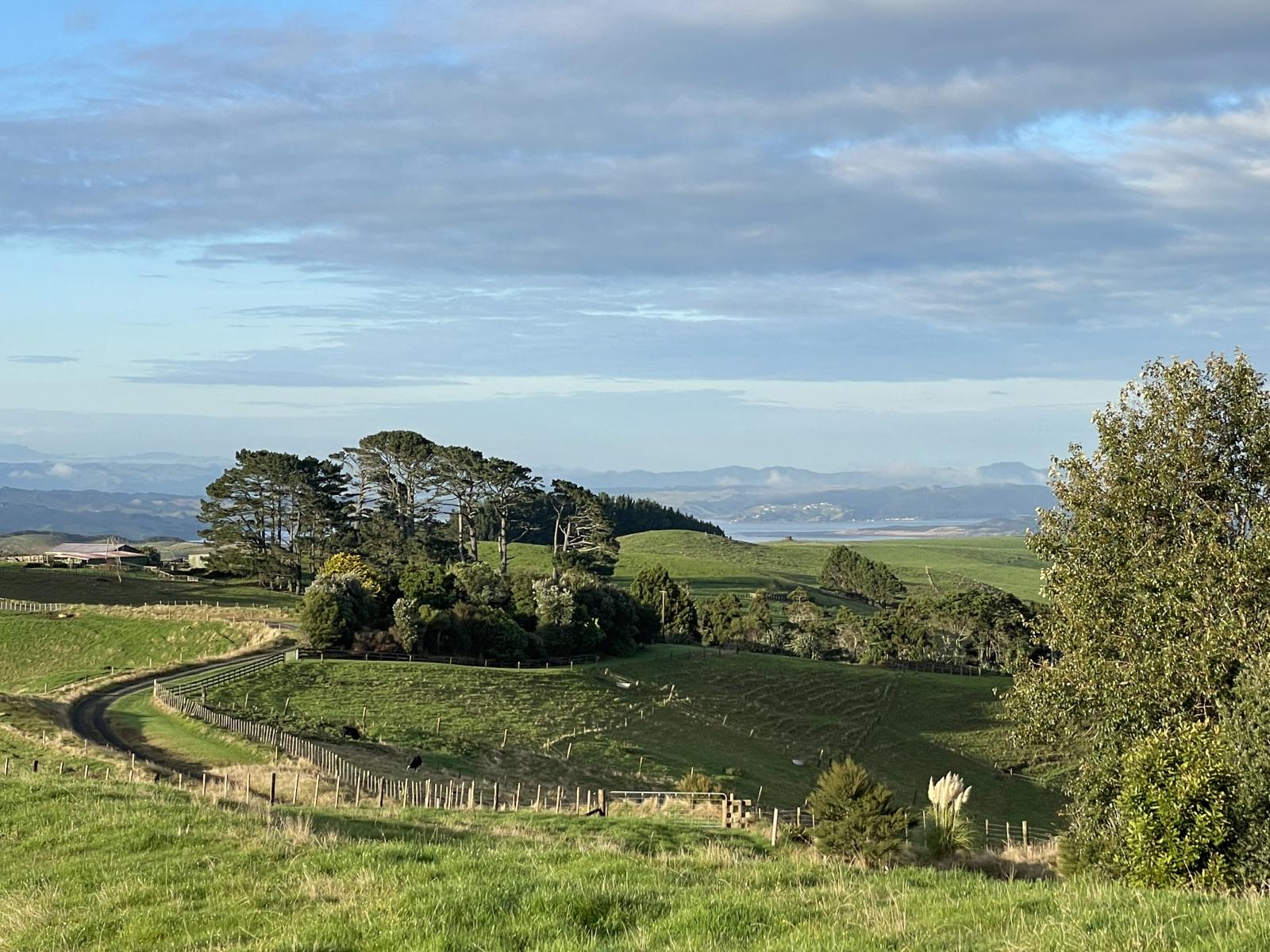 Raglan