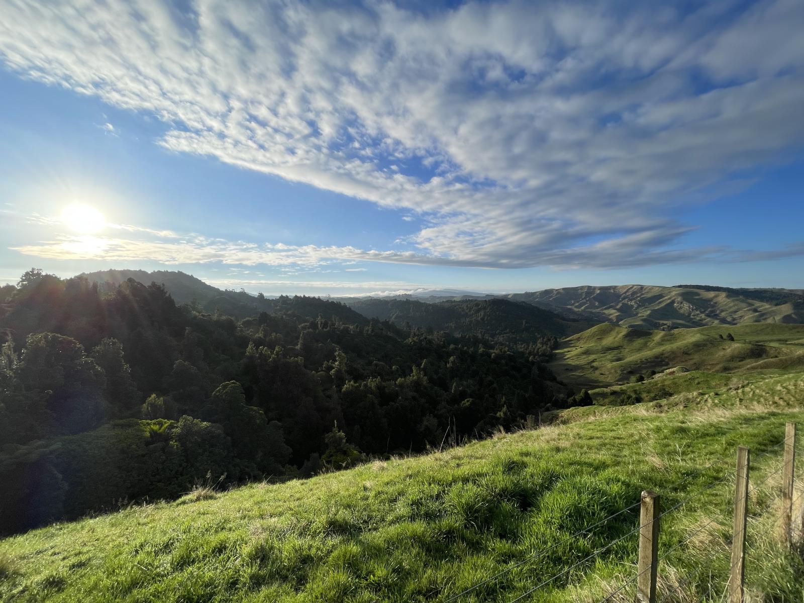 Raglan