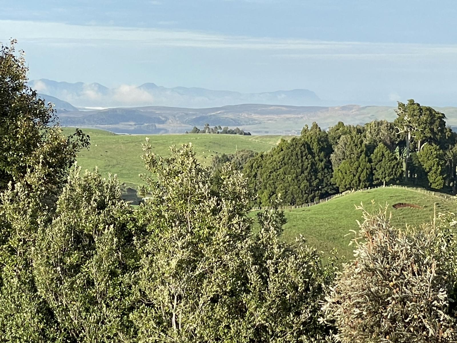 Raglan