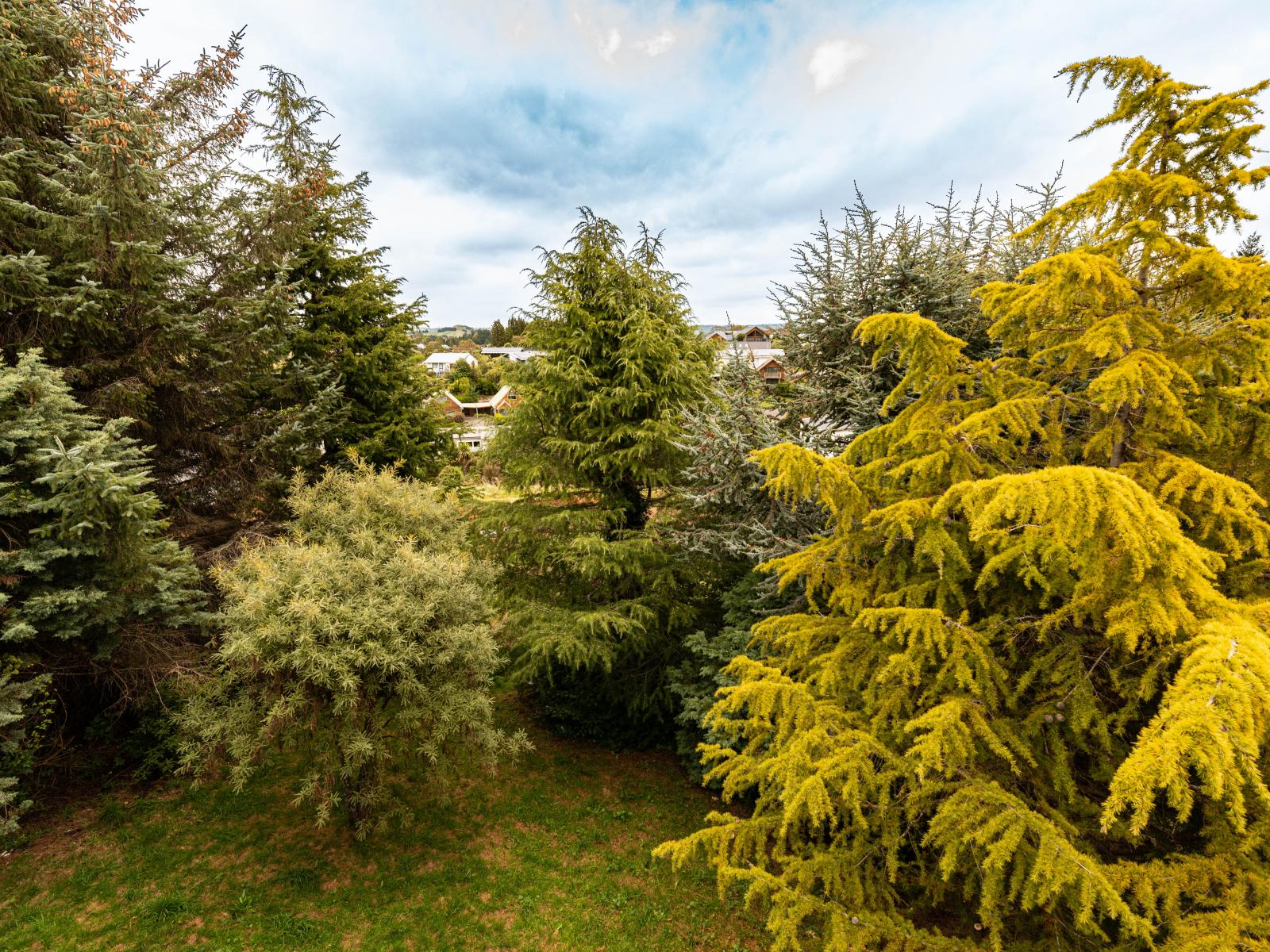 Unit 11, 54 Foyle Street, Ohakune