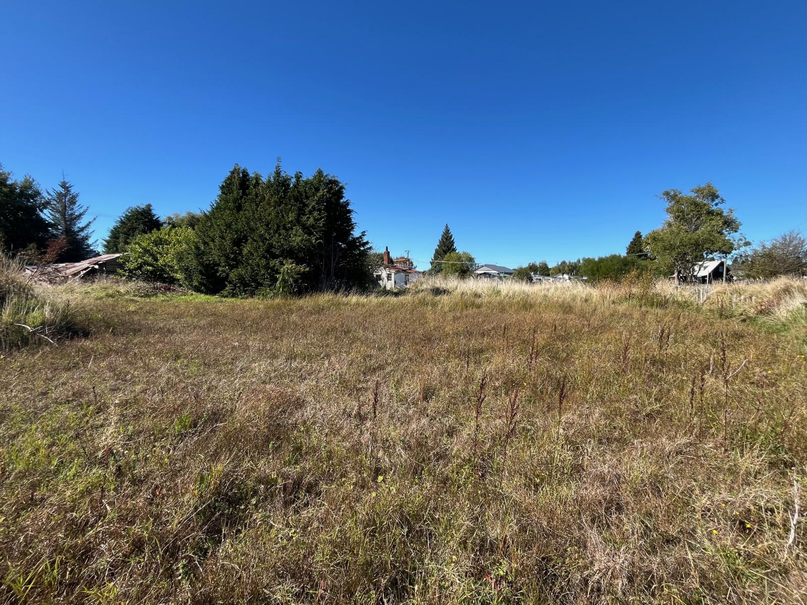 12 and 14 Marino Street, Rangataua