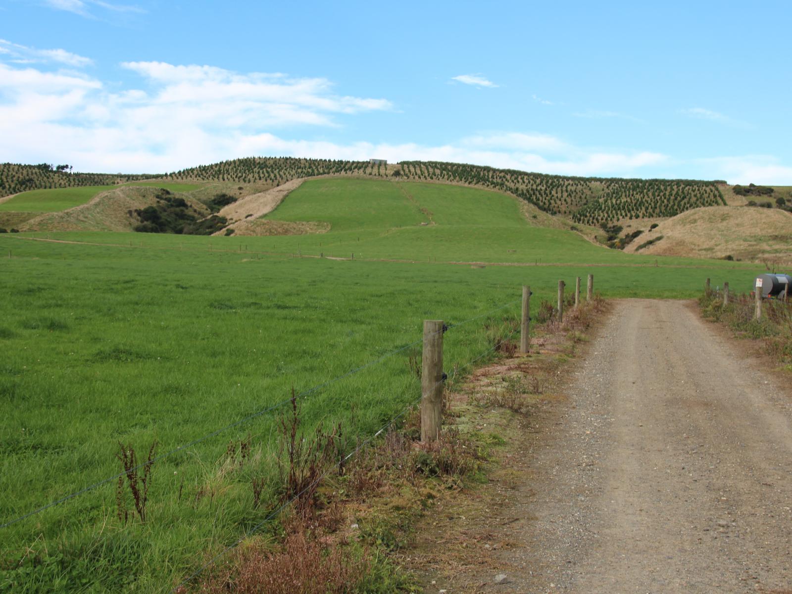 90A Mataura Island Factory Road, Mataura Island