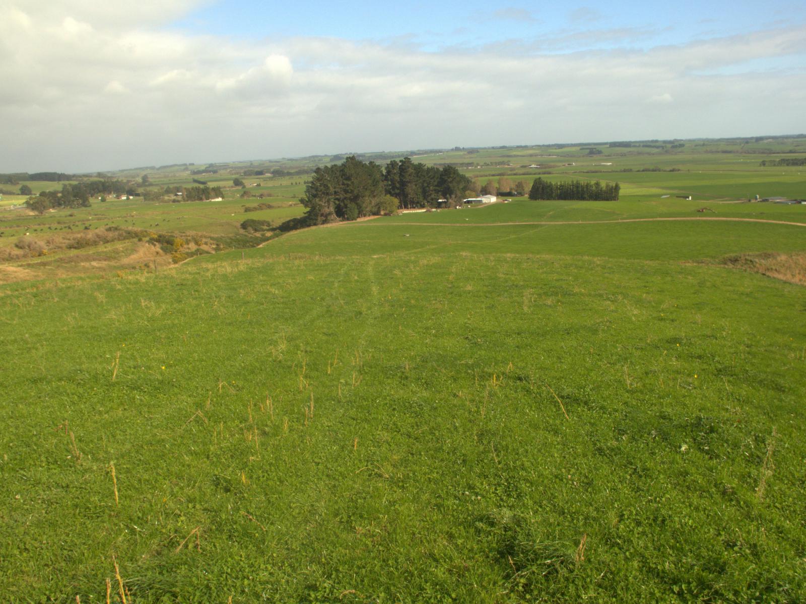 90A Mataura Island Factory Road, Mataura Island