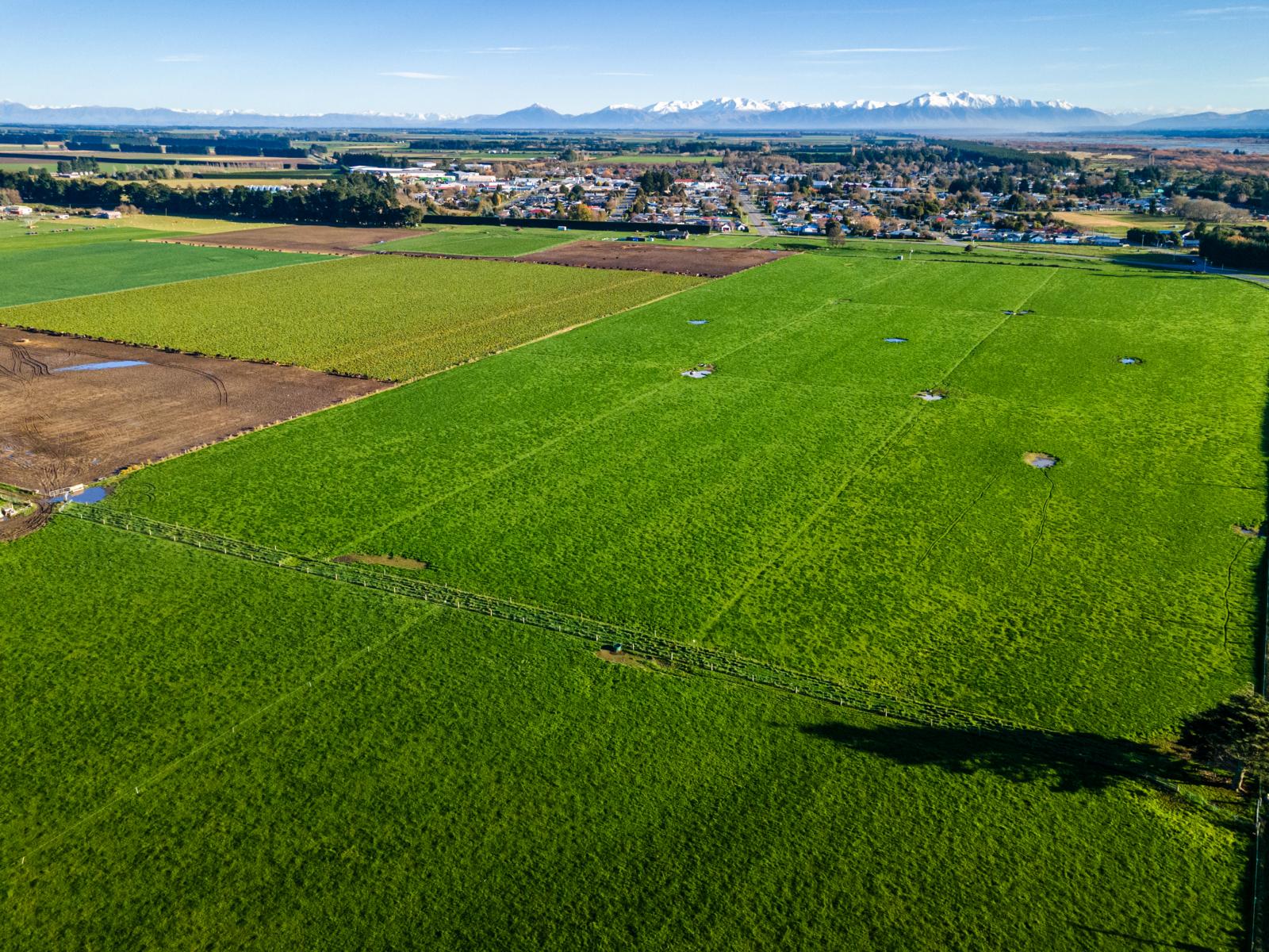 Lot 3 Acton Road, Rakaia