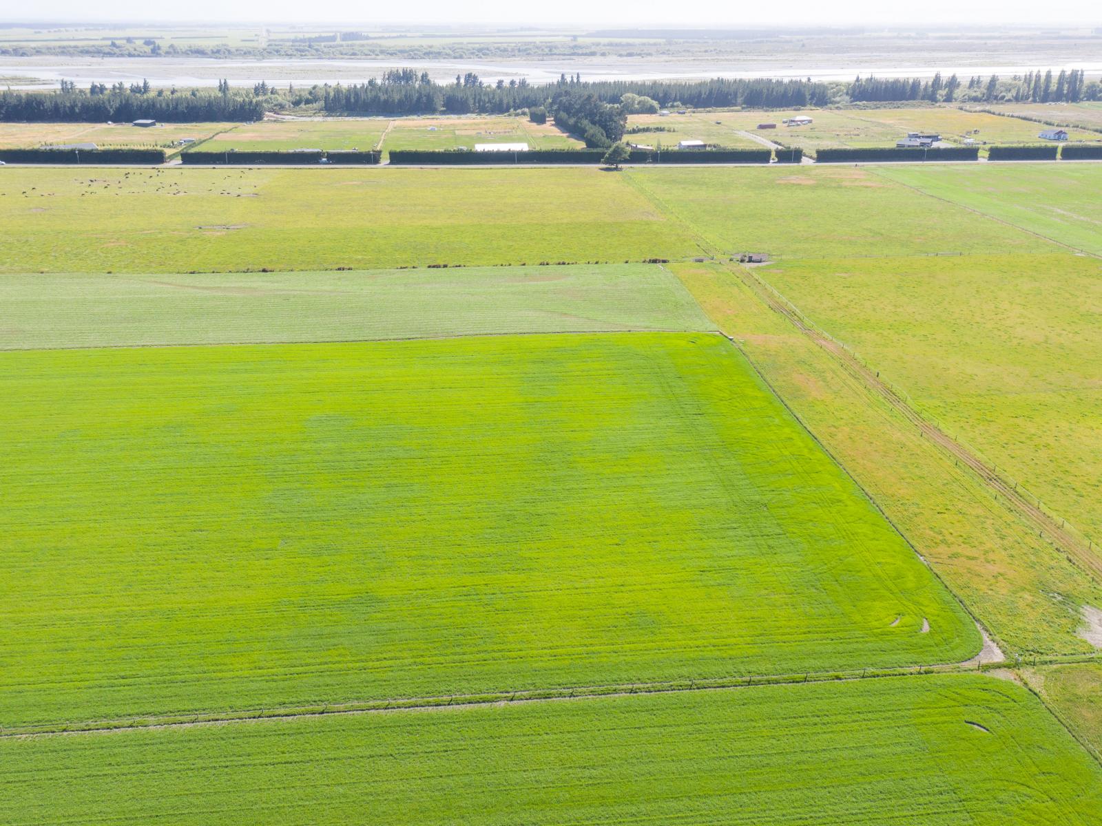 Lot 3 Acton Road, Rakaia