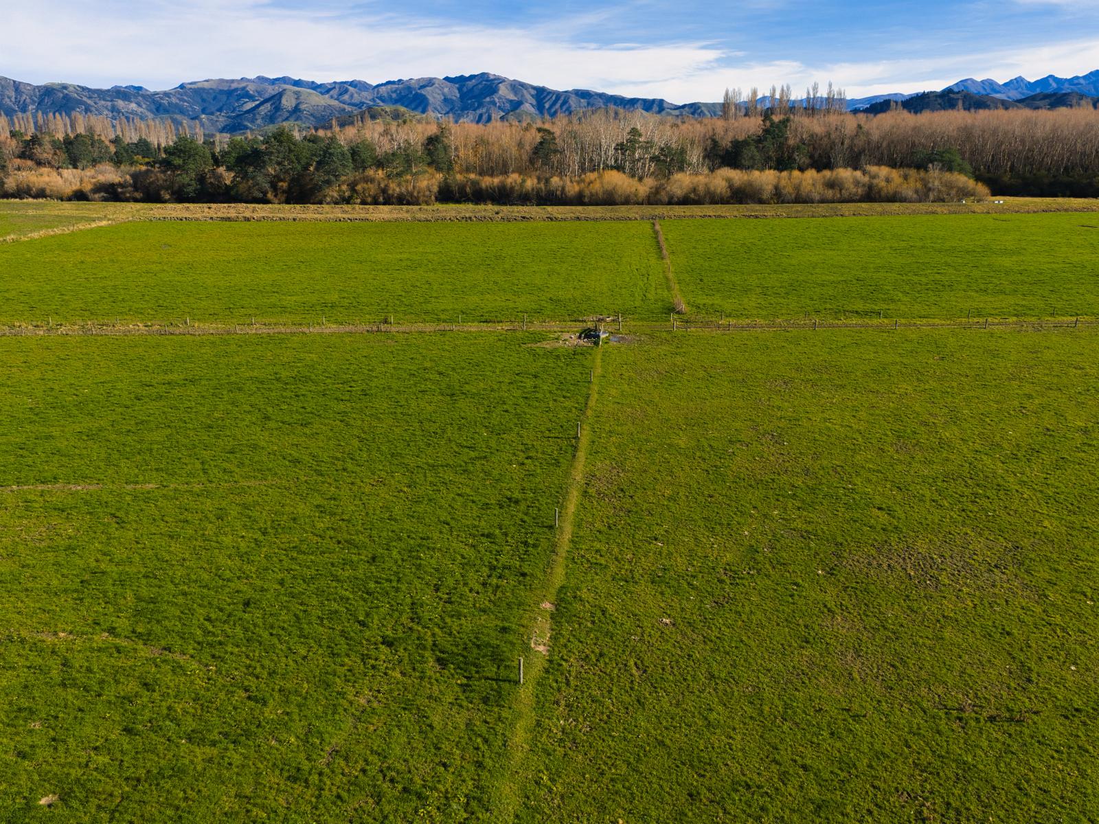 137 Red Swamp Road, Kaikoura