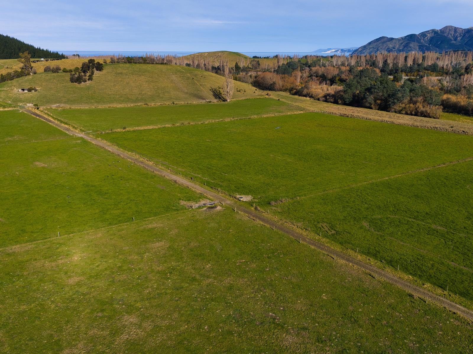 137 Red Swamp Road, Kaikoura