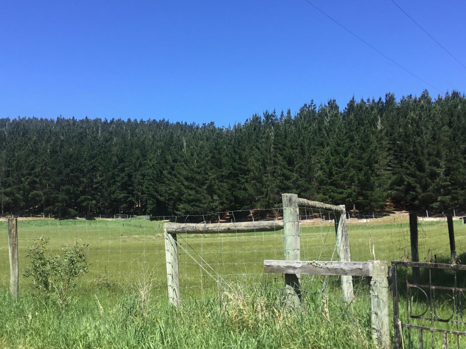 8P Davaar Road, Greta Valley