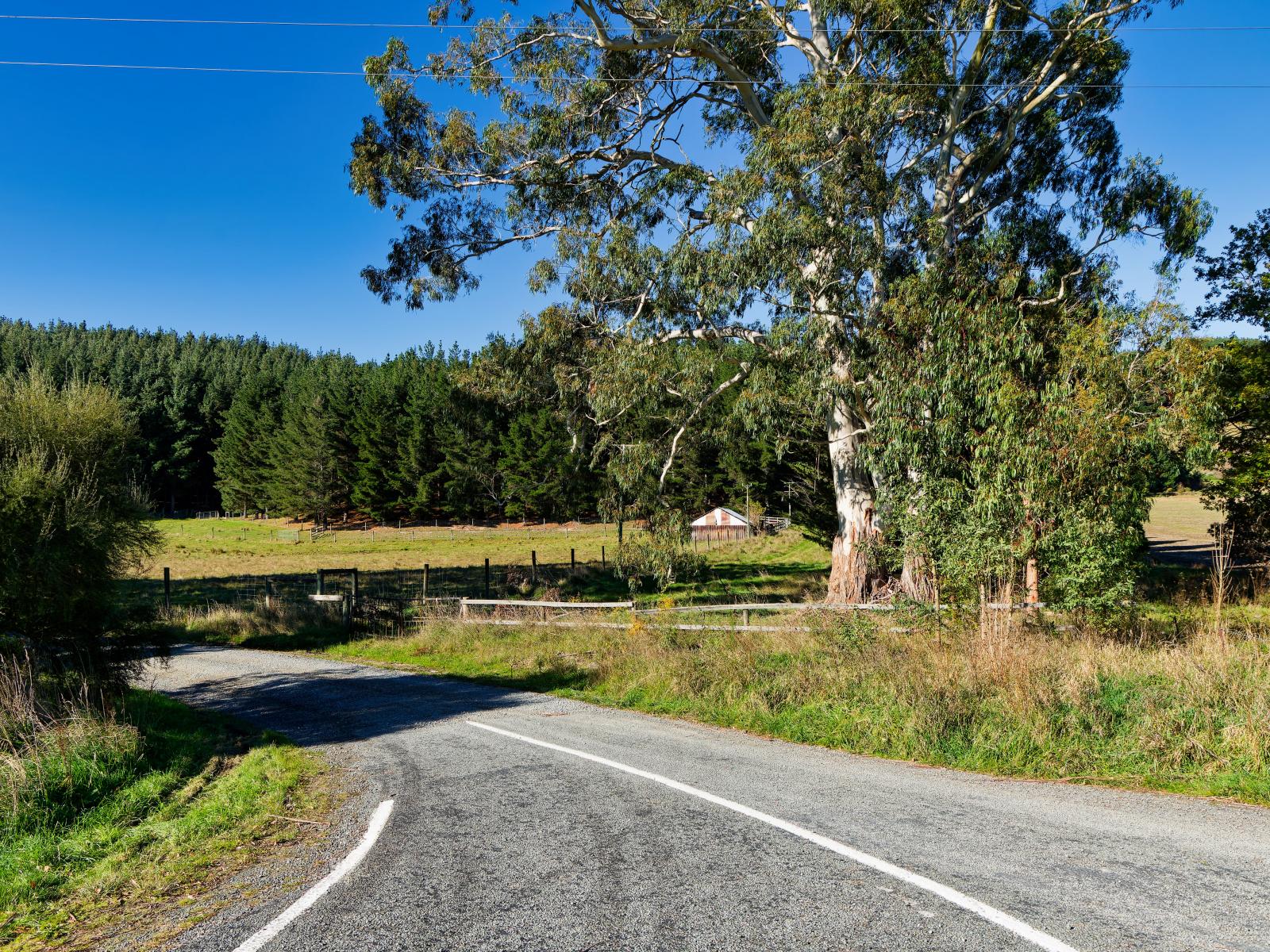 8P Davaar Road, Greta Valley