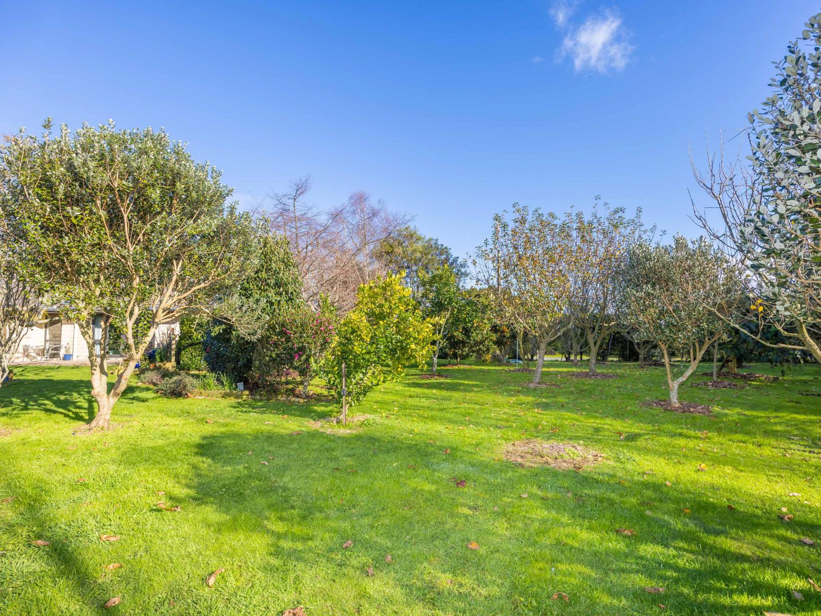 417 Parklands Road, Rotoorangi