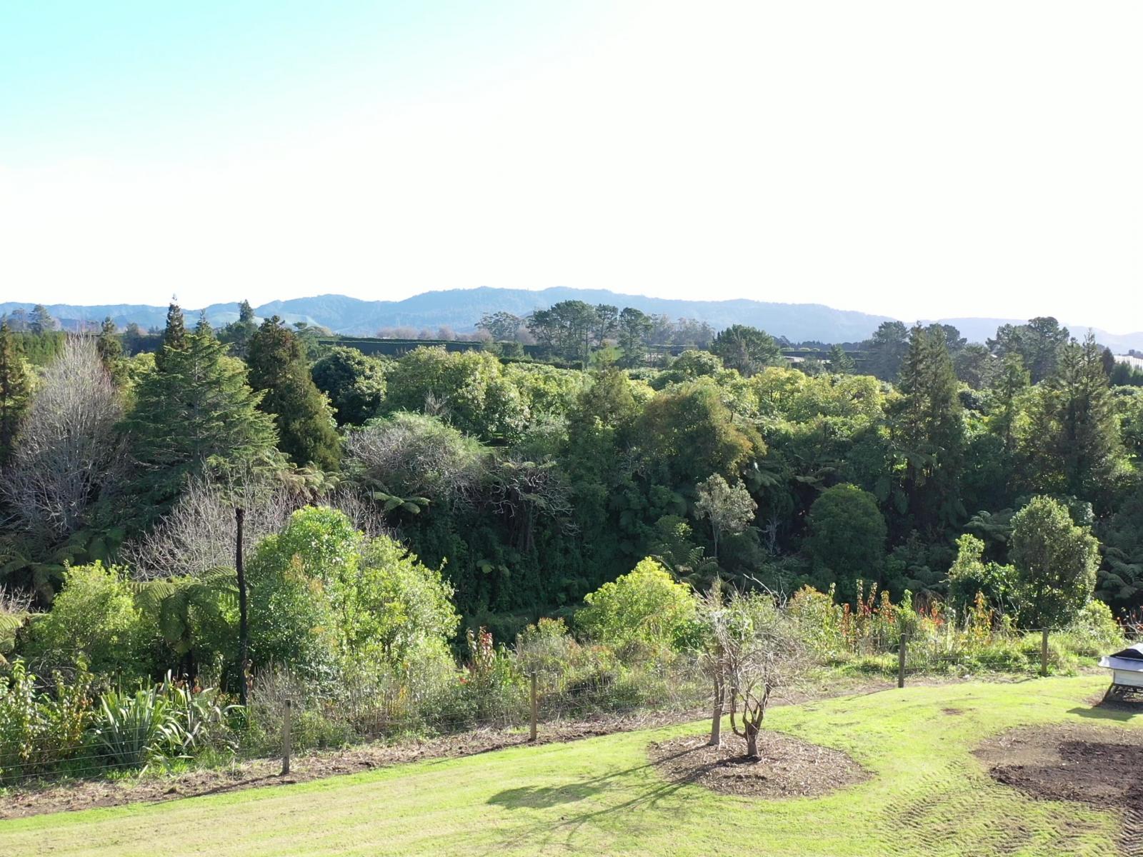 400 A Te Matai Road, Te Puke