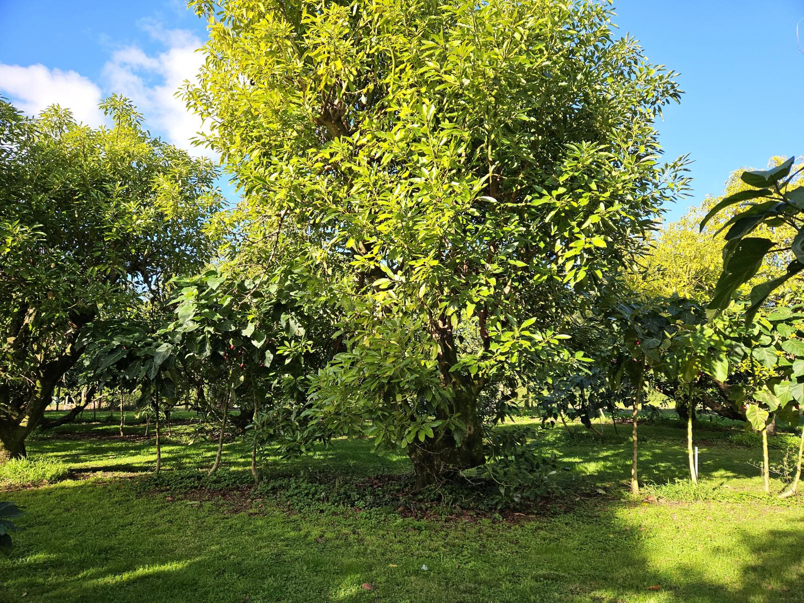 400 A Te Matai Road, Te Puke