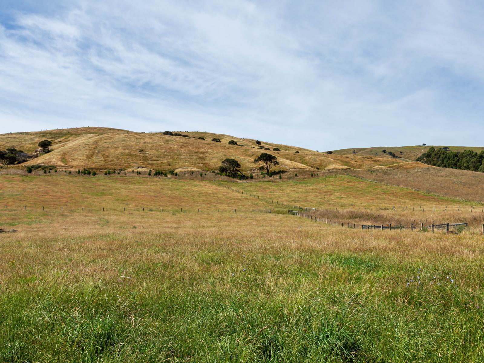 Martinborough