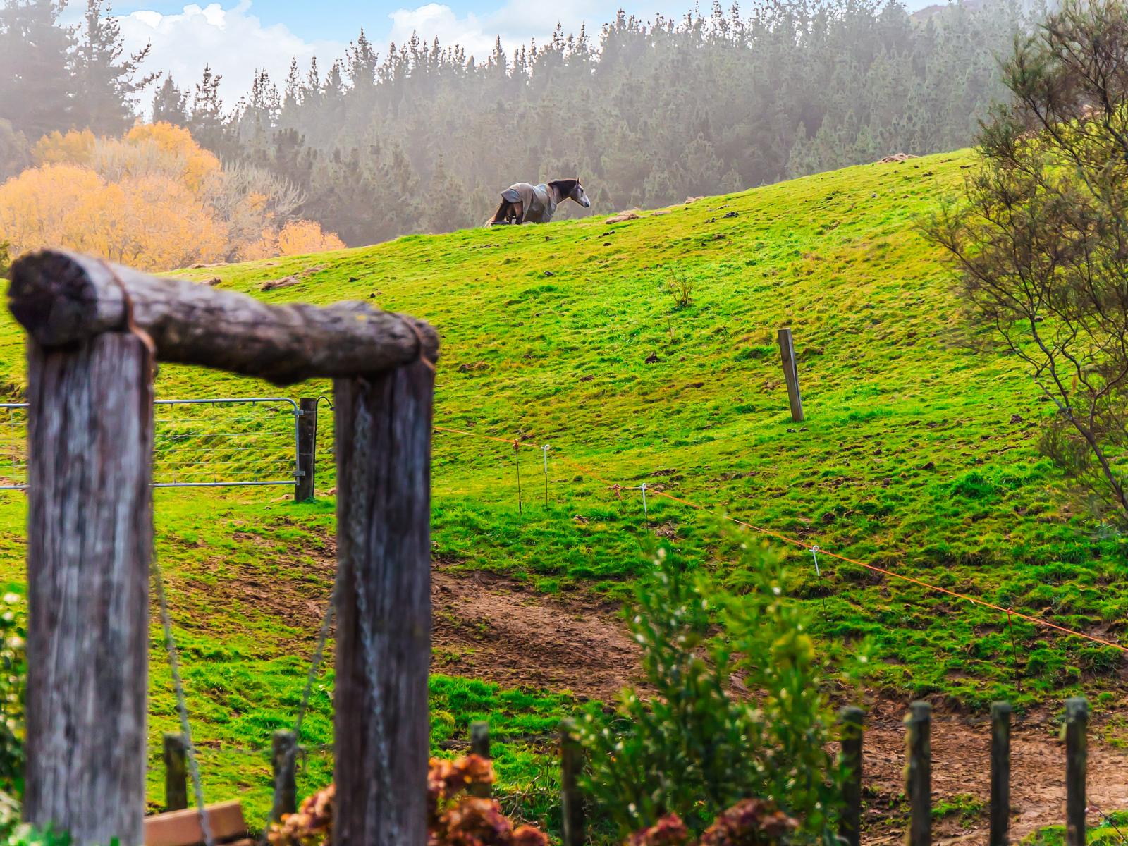 3789 State Highway 4, Ongarue
