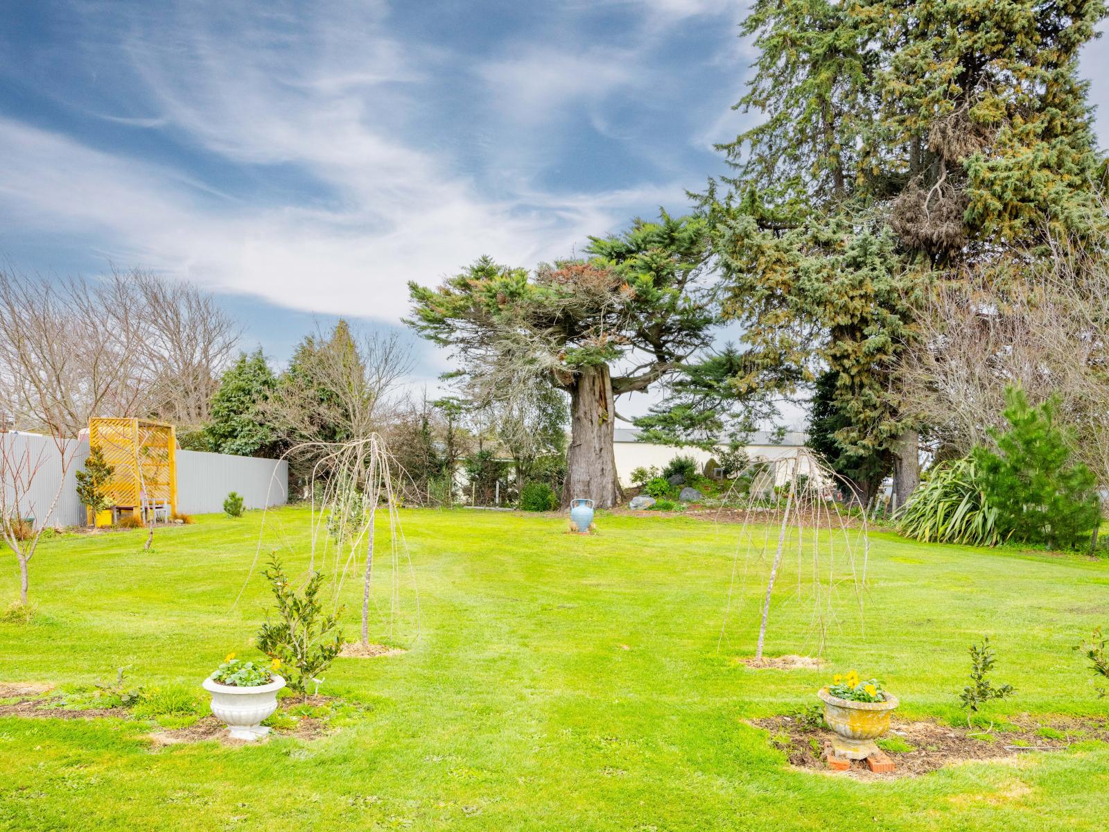 19 Consitt Street, Takapau