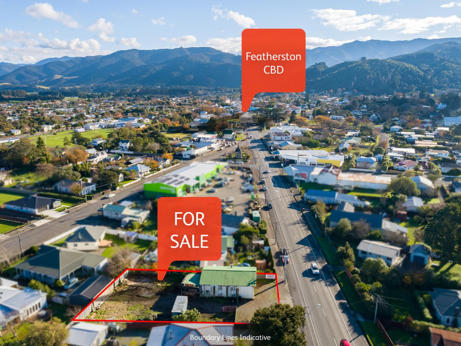 110 Fitzherbert Street, Featherston