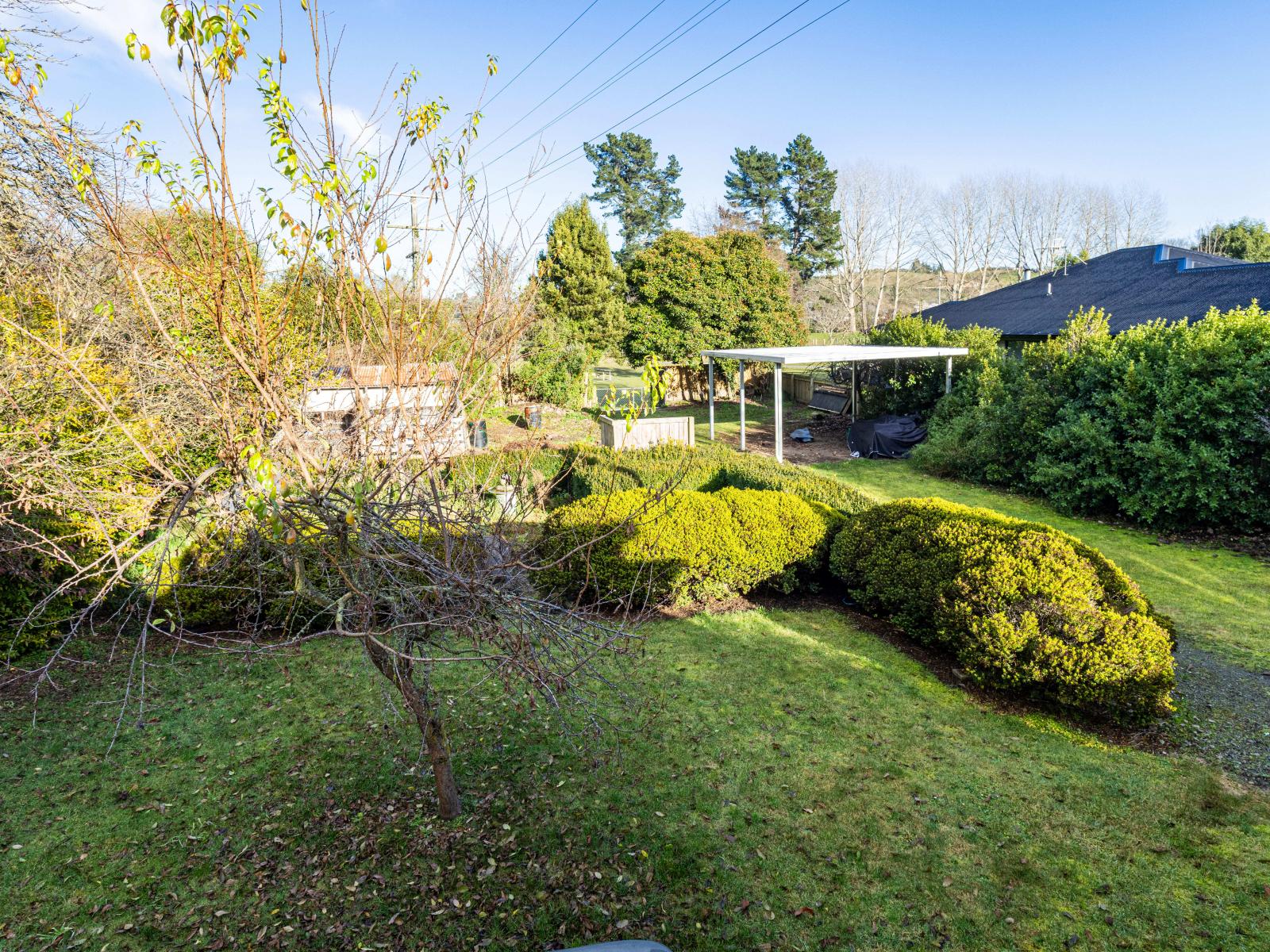 71 Mckenzie Street, Geraldine