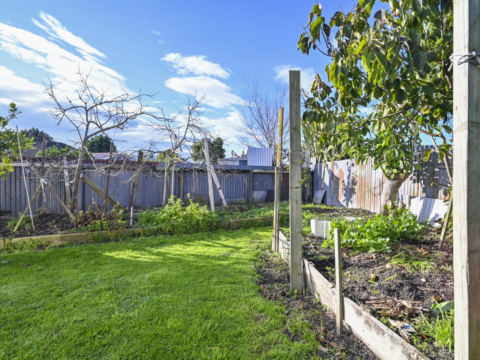 407 Montgomery Street, Raureka