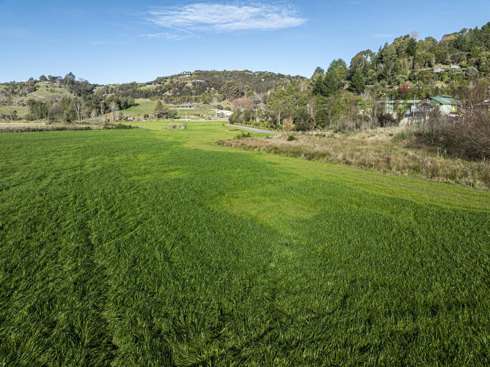 342 Hill Road, Eskdale
