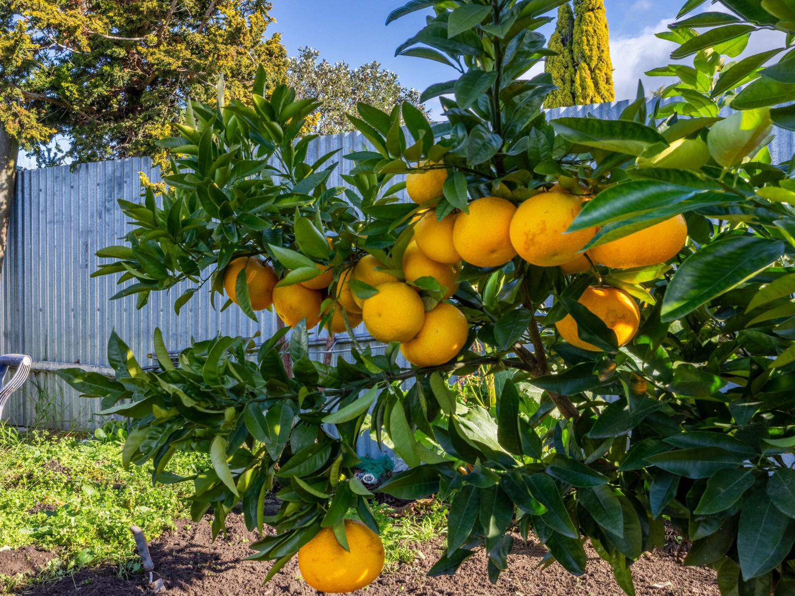 15 Mitchell Street, Waipukurau