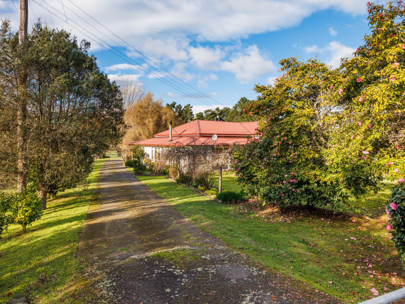376 Pohangina Road, Ashhurst