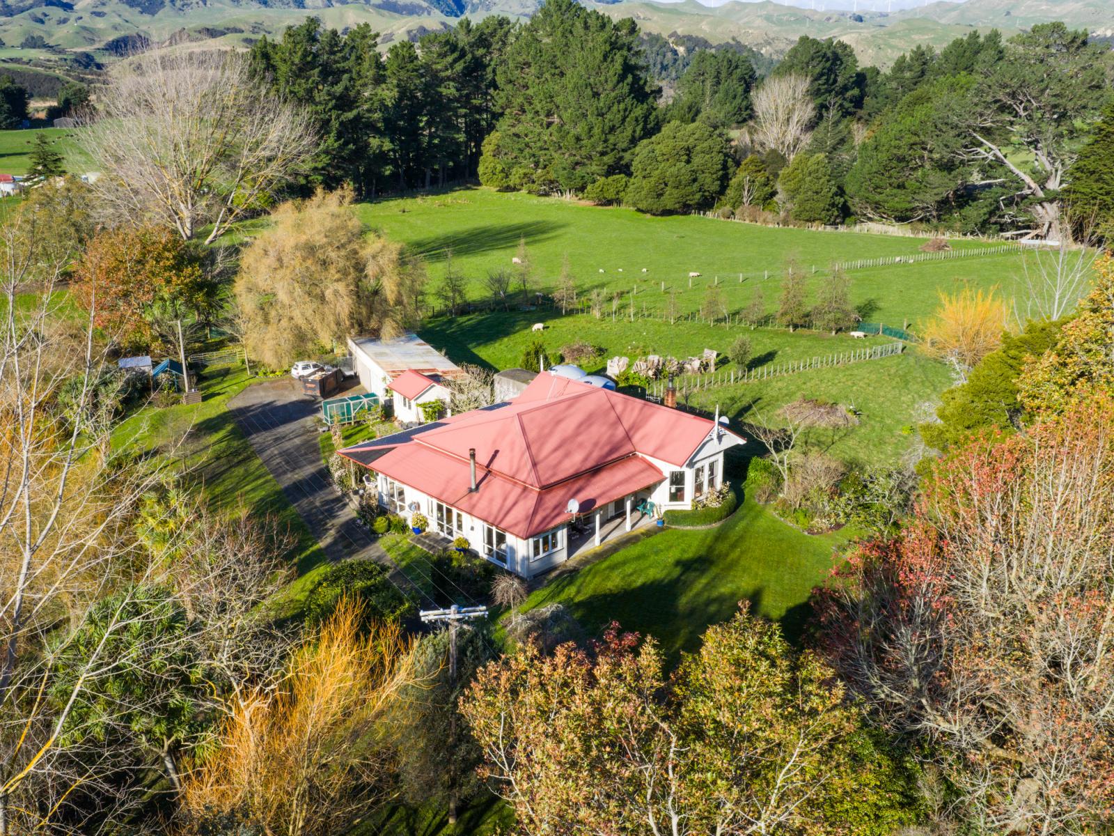 376 Pohangina Road, Ashhurst