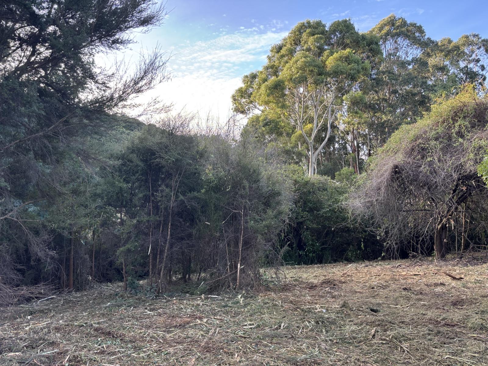 40 Saddleview Place, Fairfield
