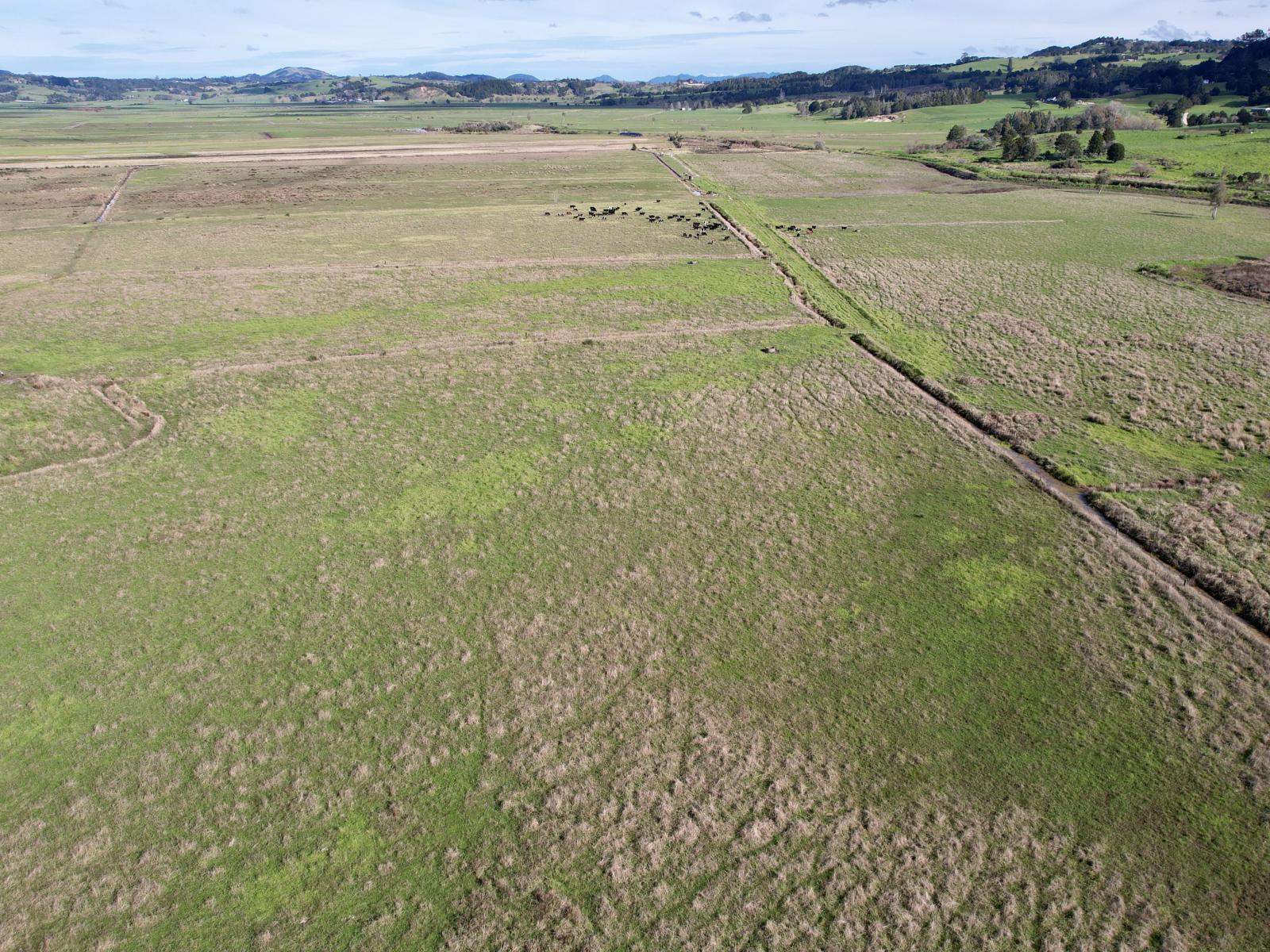 224 Rushbrook Road, Ruatangata