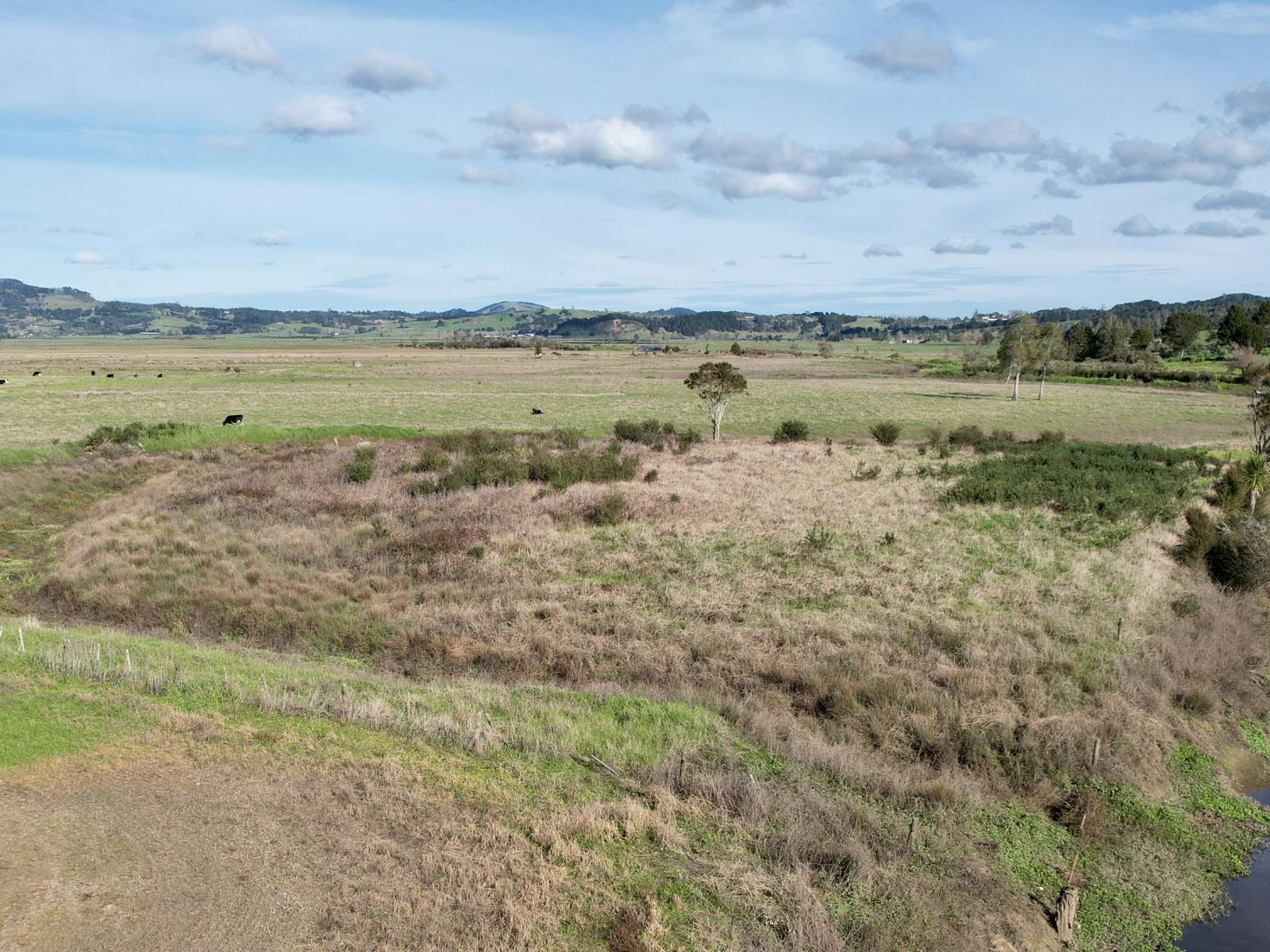 224 Rushbrook Road, Ruatangata