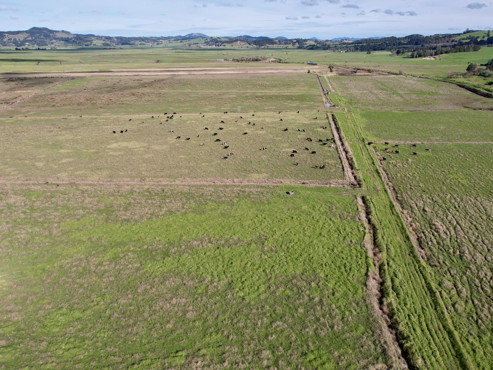 224 Rushbrook Road, Ruatangata