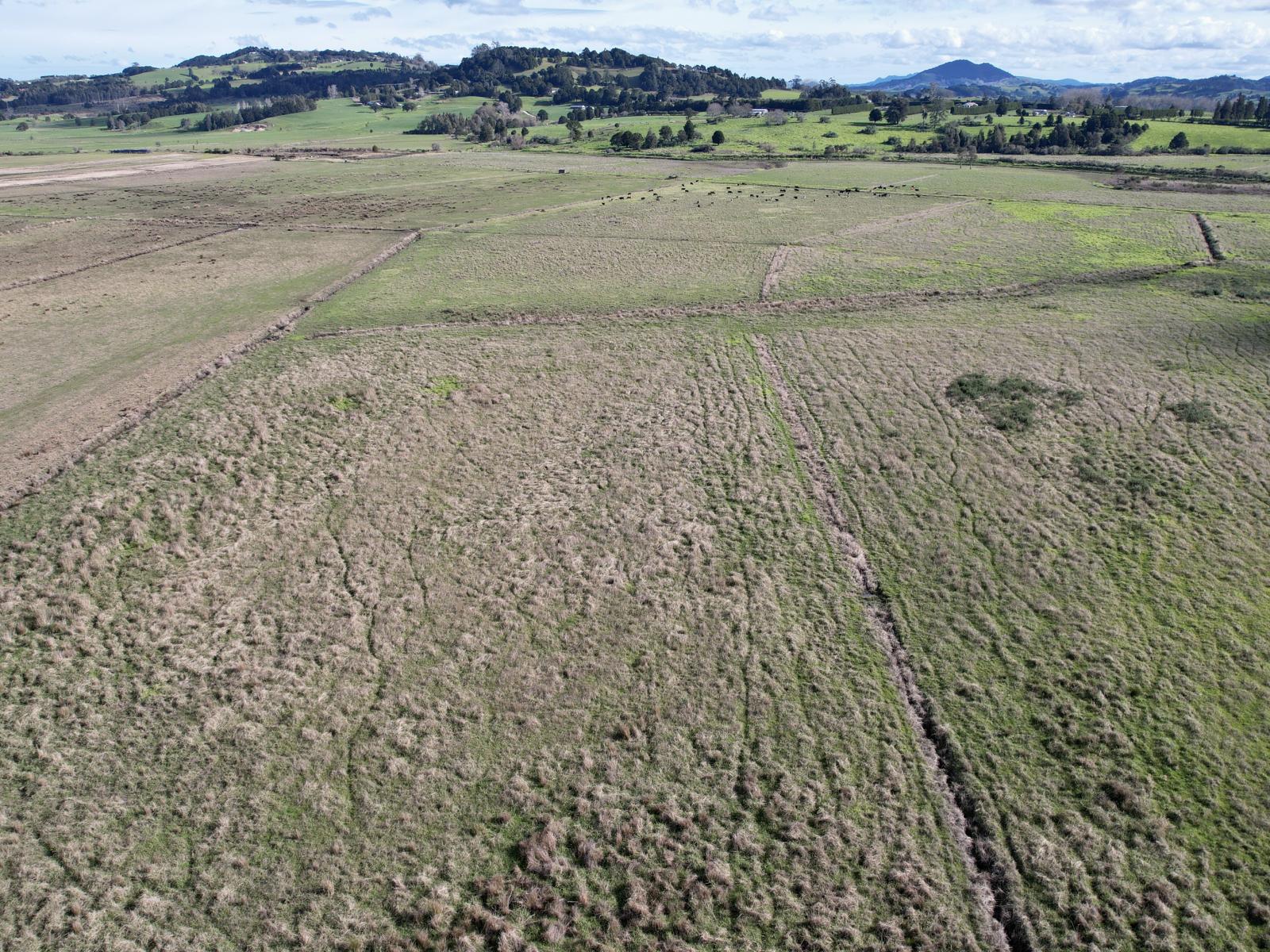 224 Rushbrook Road, Ruatangata