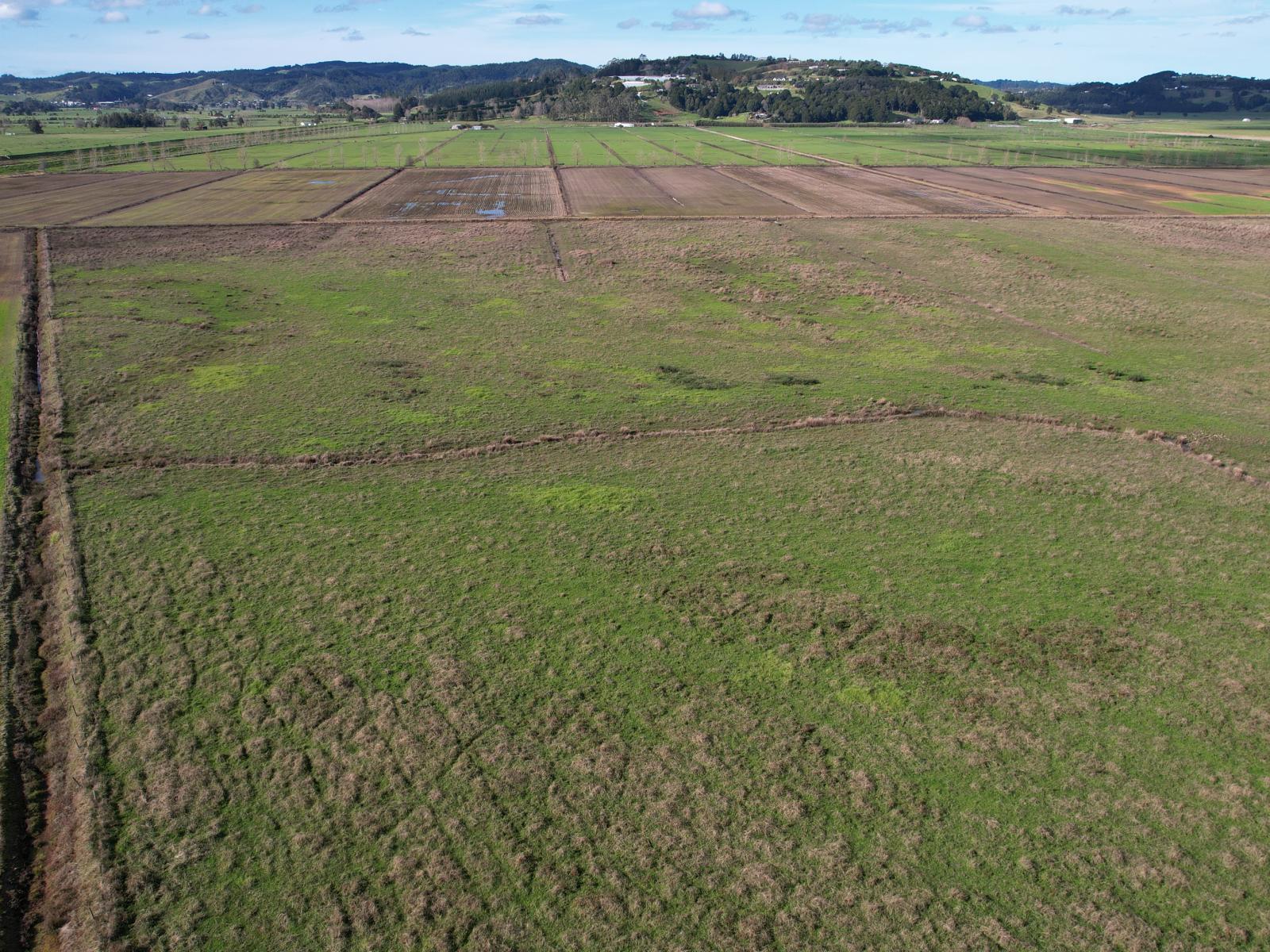 224 Rushbrook Road, Ruatangata
