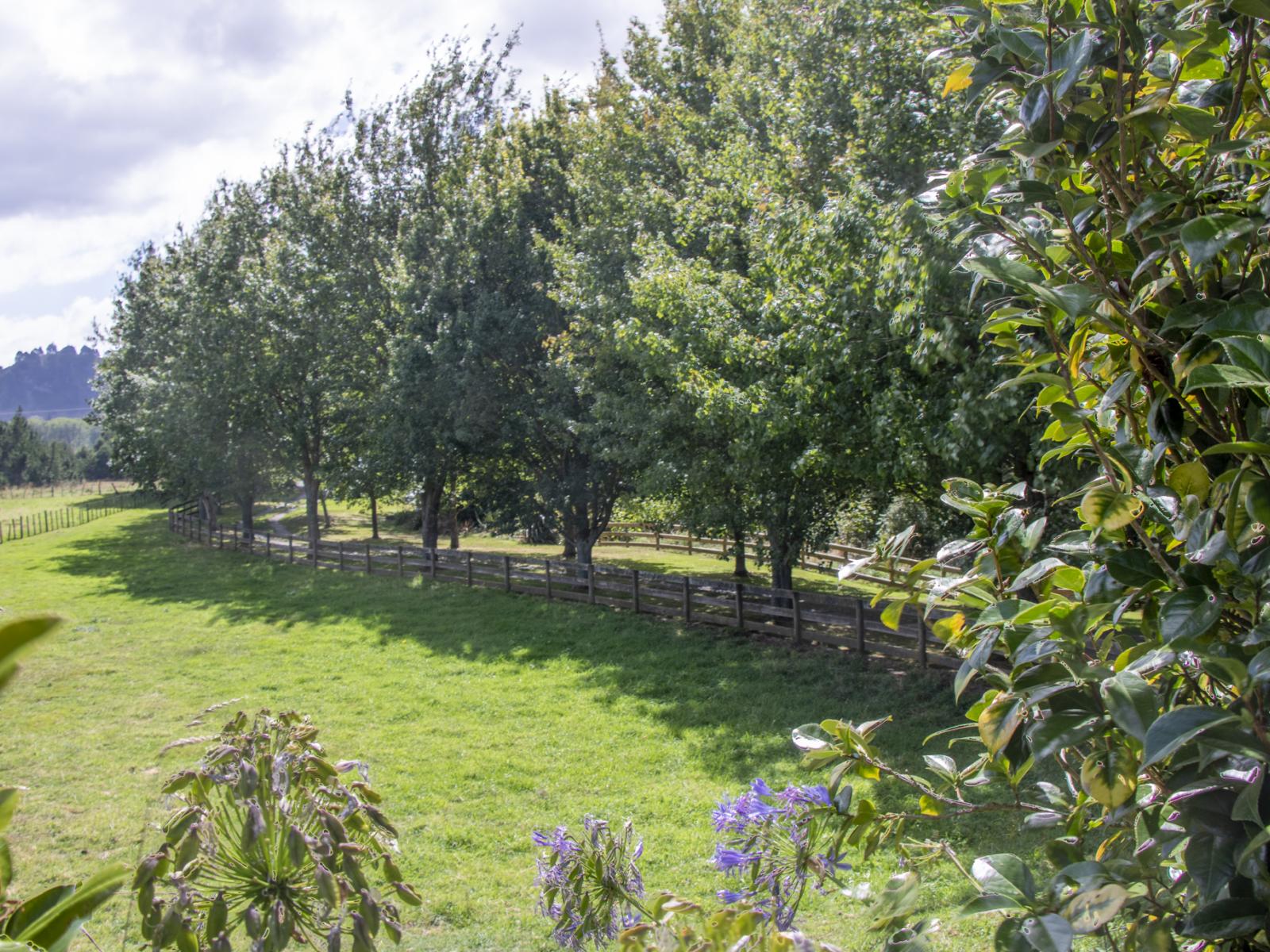993 Whirinaki Valley Road, Ngakuru