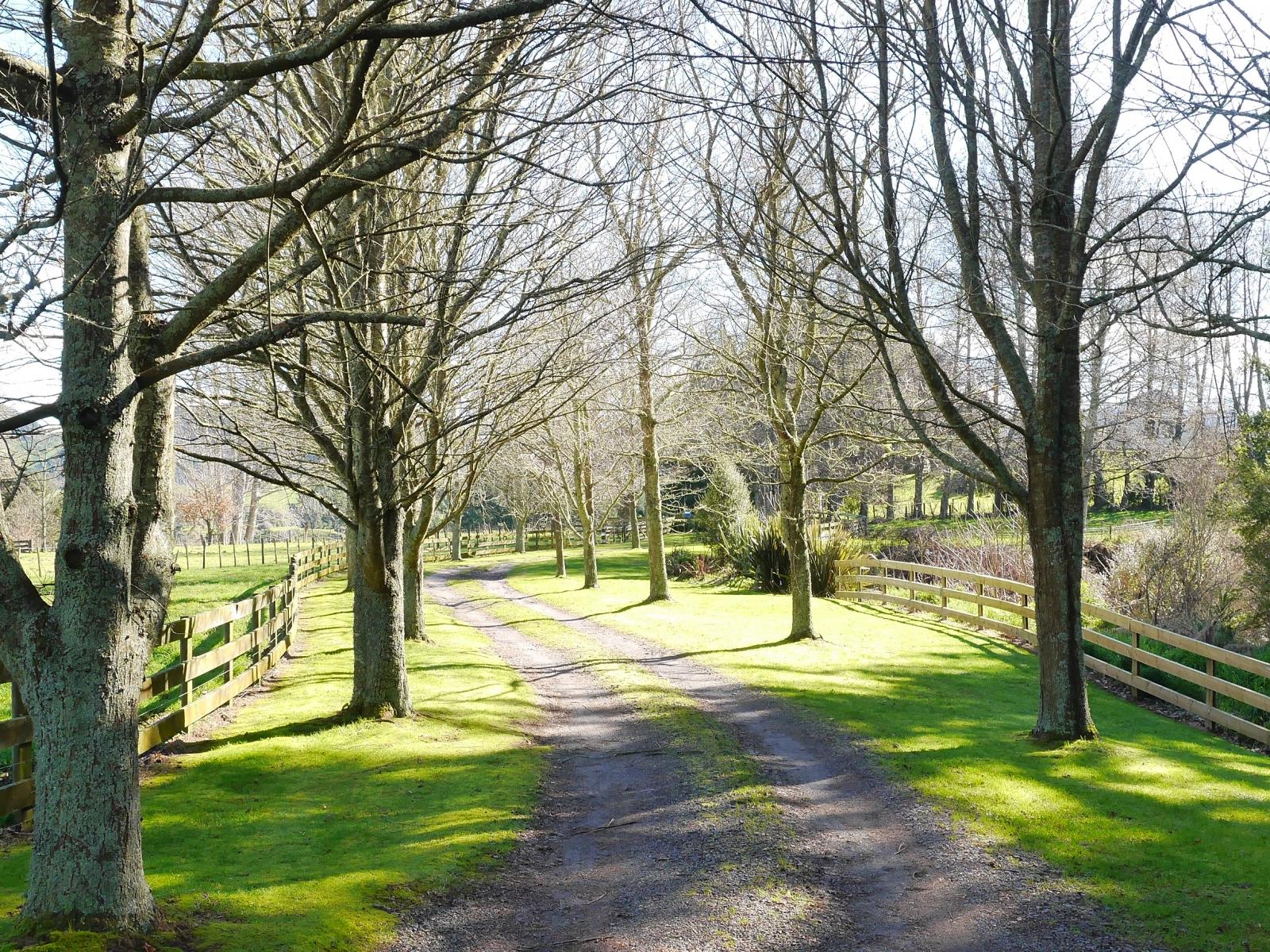 993 Whirinaki Valley Road, Ngakuru